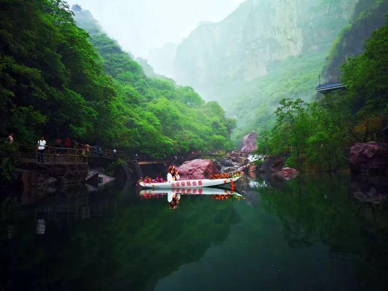 浓白鲫鱼汤的做法步骤图,浓白鲫鱼汤怎么做-专业的问答社区