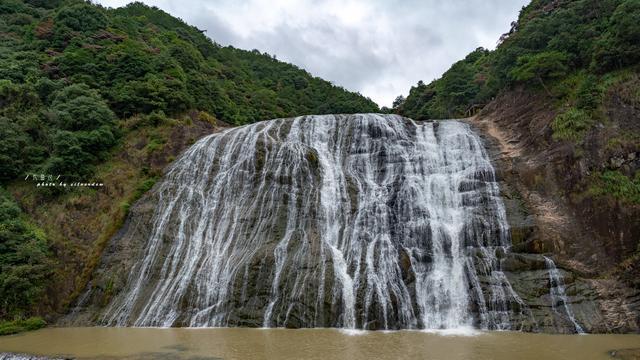 春雨直播app