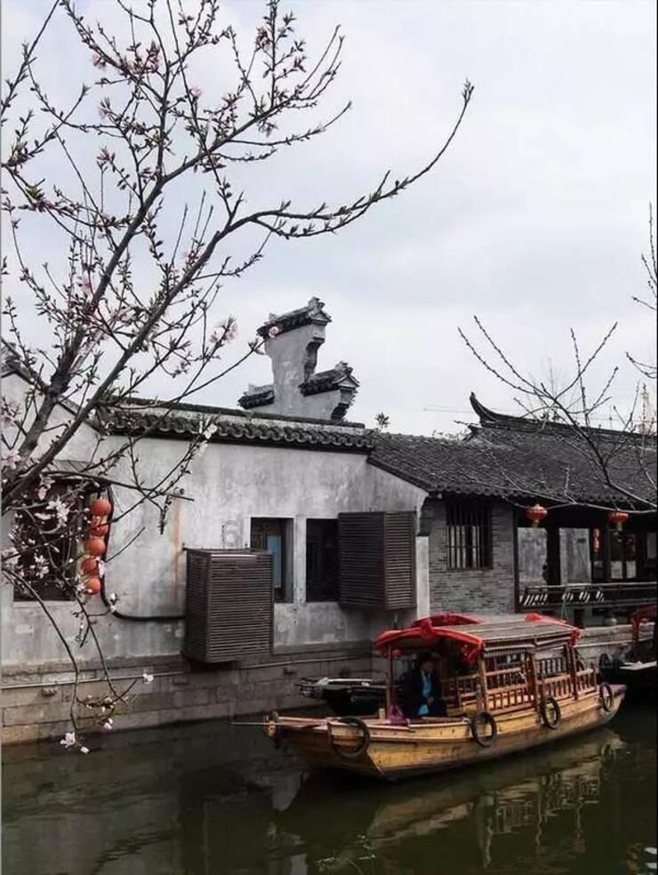 小猫钓鱼游戏龙王版有船